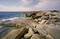 Coastal rocks and surf, near Musgrave Harbor, summer, Newfoundland, Canada
