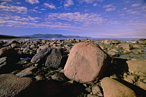 Glacial boulders on beach in summer morning light, Gros Morne National Park, Gulf of St Lawrence, Newfoundland, Canada