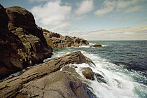 Coastal rock, surf, and cumulus clouds, summer, Cape Spear, the easternmost point in North America, Newfoundland, Canada