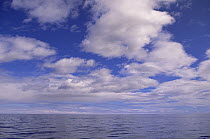 Cumulus clouds, summer, Labrador Sea, northern Labrador, Canada