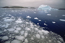 Distant view of iceberg showing grooves created by rising air bubbles, summer, Saglek Fjord, Labrador, Newfoundland, Canada
