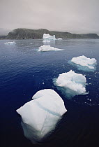 Iceberg breaking up and releasing pieces of ice called bergy bits which float and melt, late summer season, Saglek Fjord, Newfoundland, Canada
