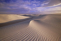 Sand dunes of fine gypsum particles textured by wind, changing winds form cross-grooves, evening, White Sands National Park, New Mexico
