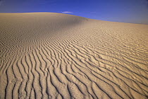 Sand dunes of fine gypsum particles textured by wind and hiker's footprints, changing winds form cross-grooves, evening, White Sands National Park, New Mexico