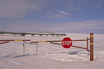 Stop sign on dirt road leading to Alyeska oil pipeline, North Slope, Alaska