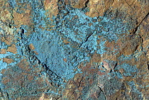 Copper ore, shines green on rock, Arizona-Sonora Desert Museum, Arizona