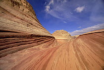 Sandstone buttes, petrified and folded ancient sand dunes, Vermilion Cliffs National Monument, Colorado Plateau, Utah