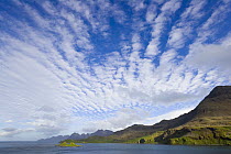 Cumulus clouds over calm harbor and green mountain slopes, sea coast in early fall, evening, Prince Olav Harbour, South Georgia Island, Southern Ocean, Antarctic Convergence