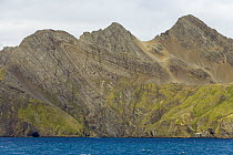Folded layers of coastal rocks which Shackleton used as landmarks while trying to reach Stromness Whaling Station during his famous crossing of the island in 1915, autumn, Stromness Bay, South Georgia...