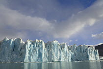 Neumayer Glacier, fall morning, Cumberland Bay West, South Georgia Island Southern Ocean, Antarctic Convergence