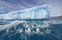 Massive iceberg floating, smashing into waves and melting rapidly due to gobal warming and rising temperatures of sea and air, near Cumberland Bay, South Georgia Island, Southern Ocean, Antarctic Conv...