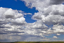 Large windfarm at work on ridge in high desert grasslands with a multitude of turning turbines and a big sky full of cumulus clouds, summer, noon, Wyoming