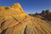 Brain-shaped bulges dominate undulating slope of Navajo sandstone, on Colorado Plateau, Paria Wilderness Area, autumn evening, Arizona