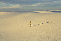 Man hiker wearing shorts, a hat and a backpack, 52, walking alone in a big sprawling landscape of sand and distant mountains, across white sand dunes, evening, autumn, White Sands National Park, New M...