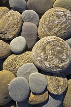 Round colorful pebbles smoothed by waves on beach, Westland National Park, South Island, New Zealand
