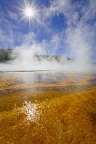 Grand Prismatic Spring, Midway Geyser Basin, Yellowstone National Park, Wyoming