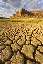 Dry and cracking cakes of silt deposited by Colorado River during flood and drying during drought, fall morning, Glen Canyon National Recreation Area, Utah
