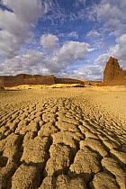 Dry and cracking cakes of silt deposited by Colorado River during flood and drying during drought, fall morning, Glen Canyon National Recreation Area, Utah