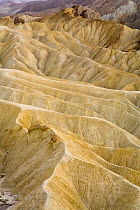 Colorful badlands in the dunes, multicolored layers of sedimentary rocks, water eroded canyons and mountains which encompasses 3.4 million acres of famous wilderness, Zabriskie Point, Death Valley Nat...