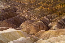 Colorful badlands, Zabriskie Point, Death Valley National Park, California
