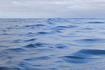 Rare calm waters of Drake Passage, Cape Horn, Chile