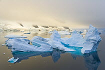 Iceberg in front of coastline at twilight, Booth Island, Antarctica