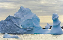 Icebergs carved by waves and melting of the ice, Grandidier Passage, western Antarctica