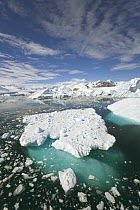 Iceberg floating in polar seas, western Antarctica