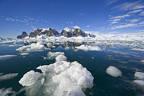 Ice floes in front of coastline, western Antarctica