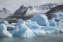 Blue iceberg and ice floes floating in sea near Neumayer Glacier, South Georgia Island