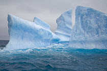 Blue iceberg with tall towers sculpted by waves and melting action, South Georgia Island