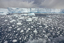 Iceberg sculpted by waves and loose ice chunks floating in sea as global warming causes faster melting of ice, South Georgia Island