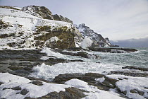 Waves crashing on coastal rocks in strong wind after snowstorm, St. Andrews Bay, South Georgia Island