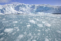 Ice columns and broken ice floes of Fortuna Glacier descending to sea, Antarctic Bay, South Georgia Island