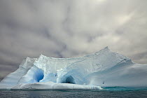 Blue iceberg dramatically sculpted by waves and melting action accelerated by global warming and climate change near South Georgia Island