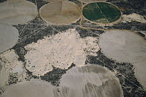 Potato farms showing irrigation circles, Sandveld, South Africa