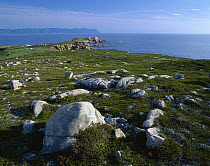 Coastline of Cape Breton Island overlooking Atlantic Ocean, Nova Scotia, Canada