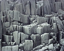 Columnar basalt, Brier Island, Nova Scotia, Canada