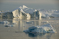 Icebergs, western Greenland