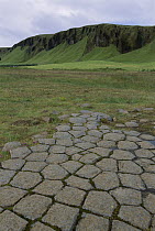 Columnar basalt rock formations, Iceland