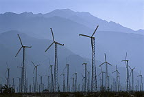 Windmills generating electricity with San Bernadino Mountains in the background, Palm Springs, California