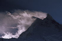 Wind-blown snow on Manaslu (8,156 meters) at dawn, Mansiri Himal region of the Nepalese Himalayas, Nepal