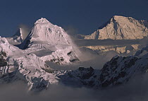 Cho Oyu (8,201 meters) in distance, seen from Mera Peak, Khumbu Himal, Nepal