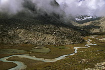 Alpine bog and stream, Hinku Valley, Makalu-Barun National Park, Nepal