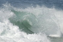 The Wedge, famous bodysurfing break caused by a breakwater, Newport Beach, California