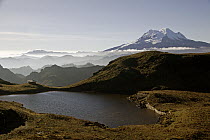 Antisana Volcano, Antisana Volcano Ecological Reserve, Andes, Ecuador