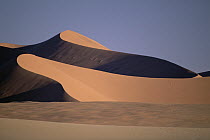 Sand dunes near Sossus Vlei, among the highest in the world, Namib-Naukluft National Park, Namibia