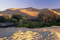 Kuiseb River dividing dunes from gravel plains of Namib Desert, Namib-Naukluft National Park, Namibia