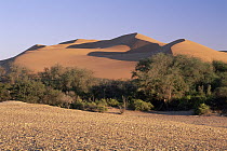 Kuiseb River dividing dunes from gravel plains of Namib Desert, Namib-Naukluft National Park, Namibia