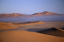 Clearing fog bank over sand dunes near Gobabeb, Namib Desert, Namibia